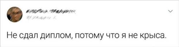 25 твитов от людей, которые поняли все слишком буквально