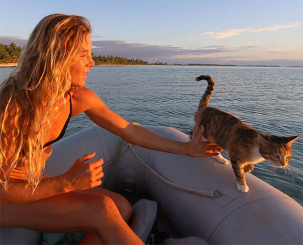 Девушка путешествует по свету в компании подобранной кошки