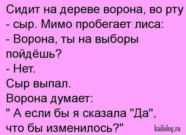 Весёлые анекдоты (40 картинок)