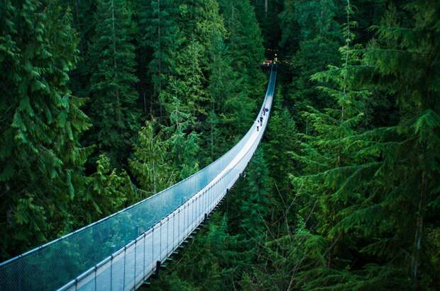 Канада. Подвесной мост Капилано. Сооружение расположено на высоте 70 метров над одноименной рекой. (Michelle Lee)