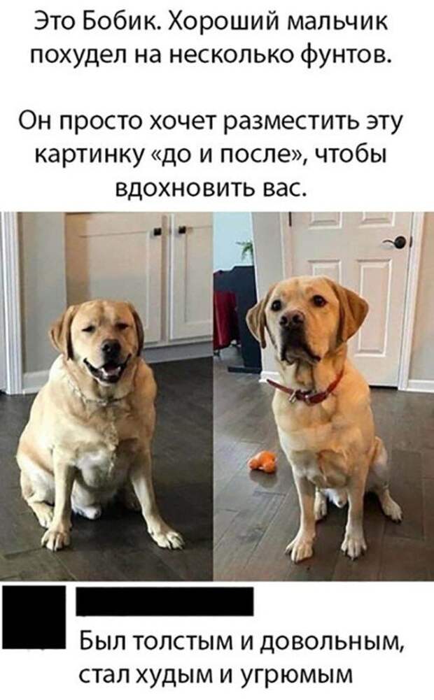 Прикольные и смешные картинки