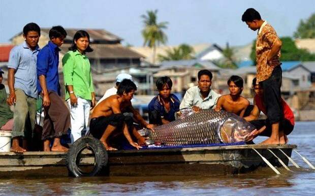 рыбалка на Меконге