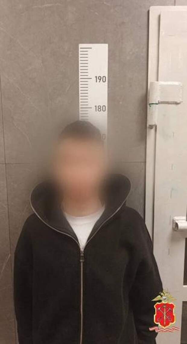 В Петербурге задержали четверых за ночные кражи из ПВЗ на 1,9 млн рублей