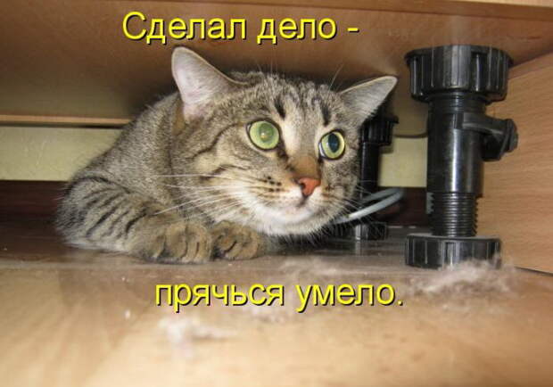 Лучшие котоматрицы недели Лучшие котоматрицы недели