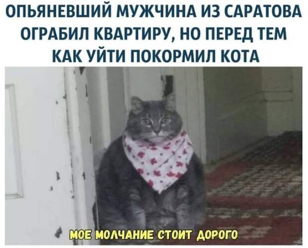 www.vsyako.net