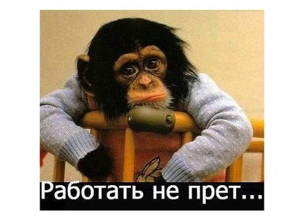 Подборка классных демотиваторов № 67