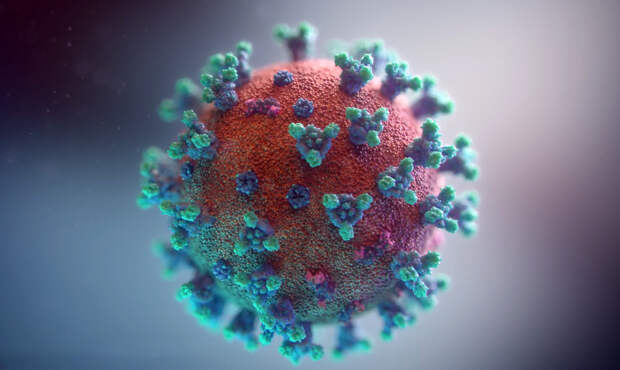 "Ниндзя", "кентавр", "цербер": Врач объяснил феномен иммунного ускользания у коронавируса