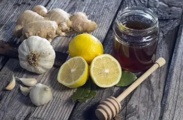 Названы 10 самых сильных природных антибиотиков