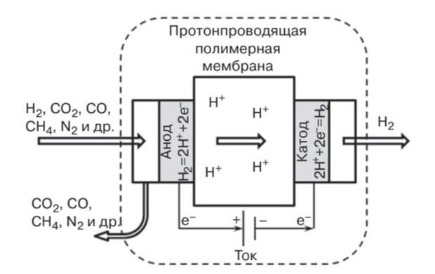 Схема работы водородного насоса. Источник изображения: ФИЦ «ИК СО РАН»