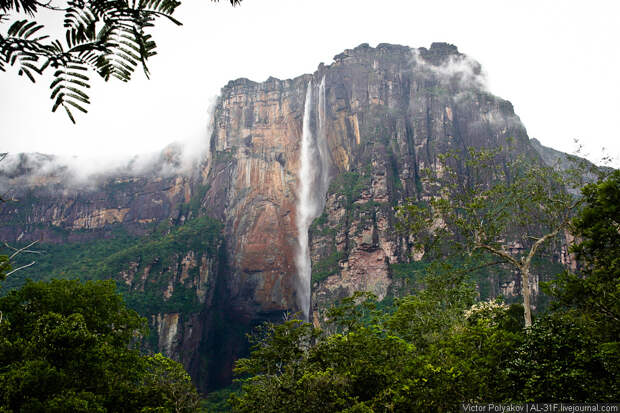 Анхель самый высокий в мире водопад AngelFalls08 Анхель самый высокий в мире водопад