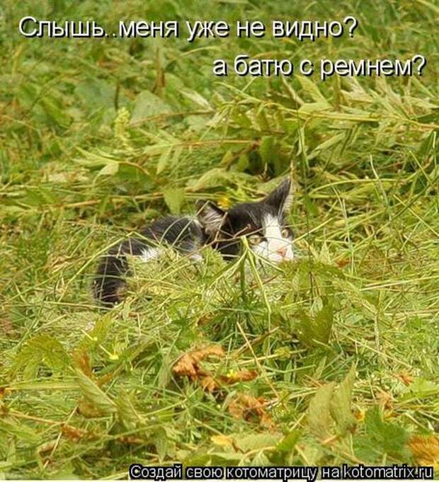 Мысли вслух :)