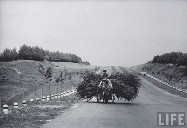 Советская оттепель на снимках американского фотографа