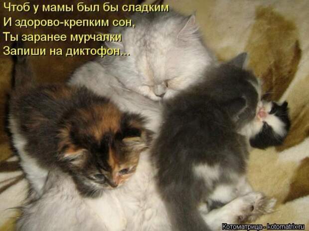 Мысли вслух :) #050614