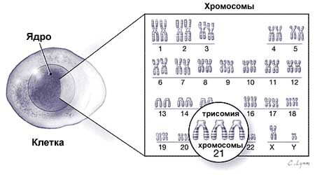 Ашкеназы и сефарды — генномодифицированный продукт Священной Римской империи