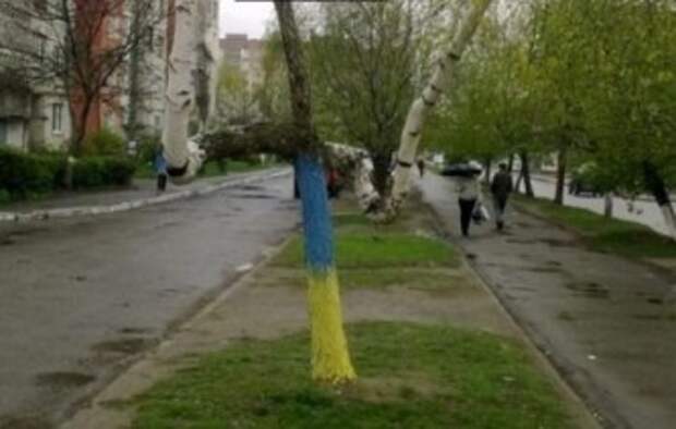 Березовая агрессия России