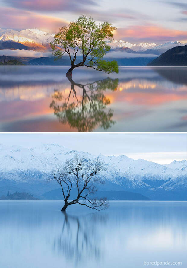 summer-winter-37