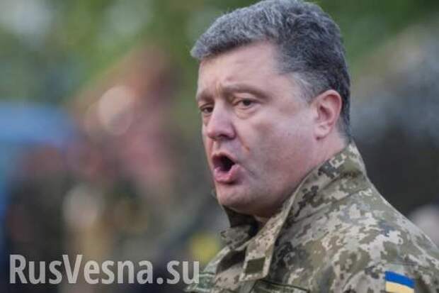 Выбор народа или блеф: зачем Порошенко необходим референдум по вступлению в НАТО (ФОТО) | Русская весна