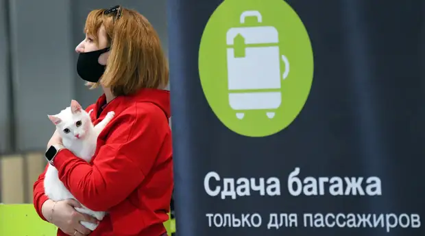 На взаимной основе: с какими странами Россия возобновляет авиасообщение