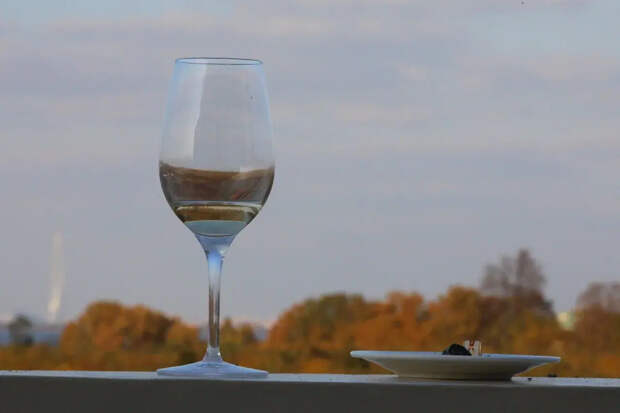 Испанский профессор объяснил, почему бокал вина за едой продлевает жизнь