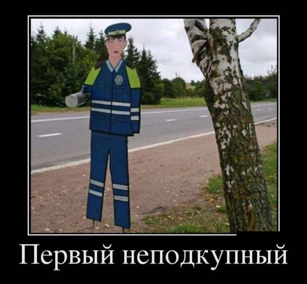 Демотиваторы (30 фото)