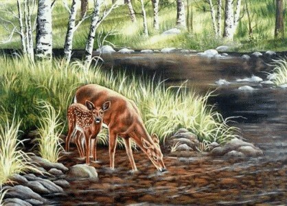 Олень пьет воду из ручья рисунок