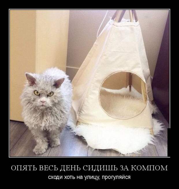 Демотиваторы (30 фото)
