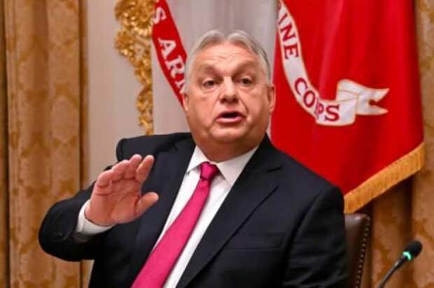 Украина должна быть «буферным государством» после завершения конфликта, — Орбан | Русская весна