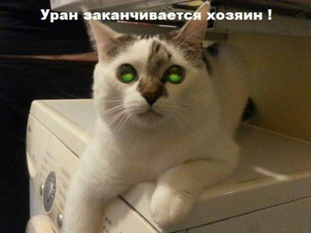 Прикольные фотомемы (23 шт)