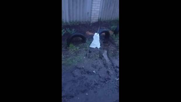 Борьба за воду https://t.me/webmoney_dn/319213Video: Видео от Донецкая группа новостей|Донецк.ДНР