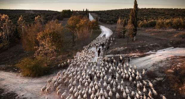 Объявлены победители конкурса Siena International Photo Awards 2019