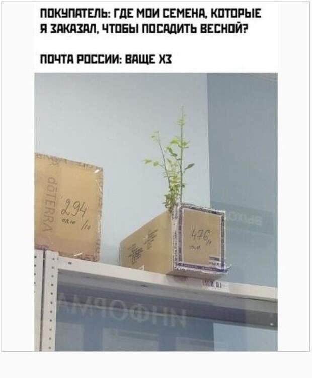 Приколы про 