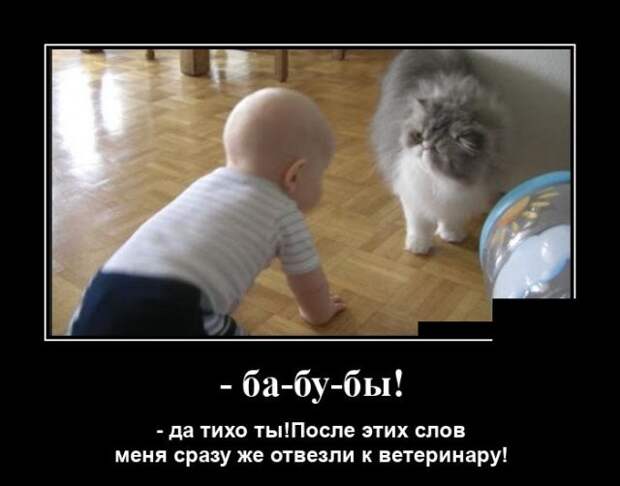 demotivatory-demotivator-smeshnye-demotivatory-demotivator-so-smyslom