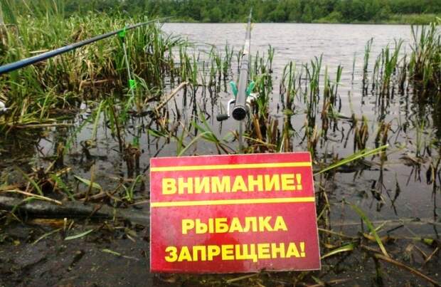 Рыбалке за городом или селом – конец: в Астраханской области начал действовать нерестовый запрет