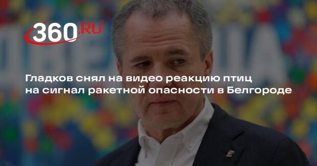 Гладков снял на видео реакцию птиц на сигнал ракетной опасности в Белгороде