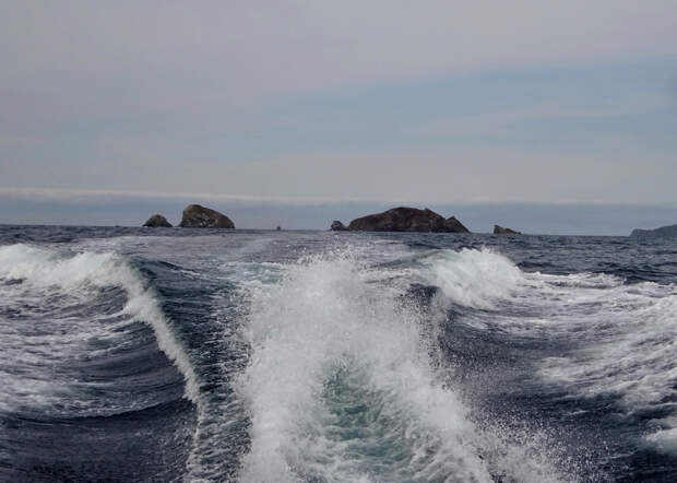 Путешествие к тюленям Ларги. Кекуры