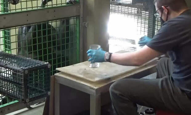 Источник фото: Creative Commons