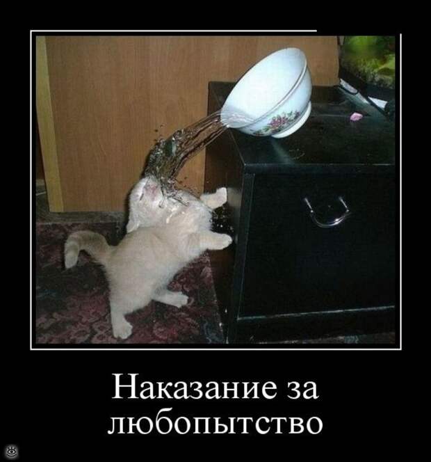 Расслабляйся осознанно! 3