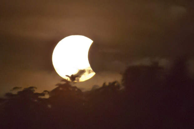Пользователи поделились снимками кольцеобразного солнечного затмения