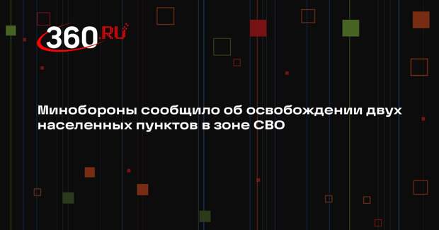 Минобороны: ВС РФ освободили Красное в ДНР и Лозовое в Харьковской области