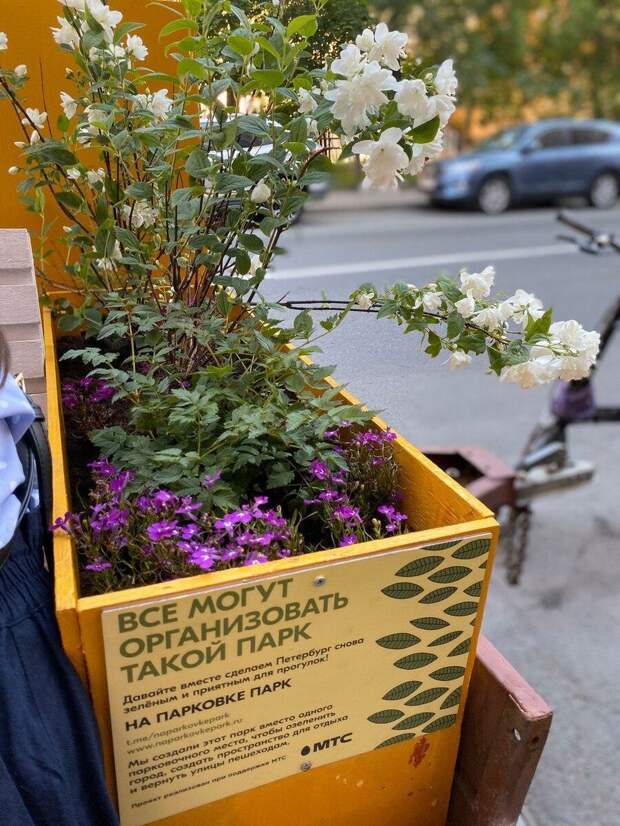 Парк на парковке