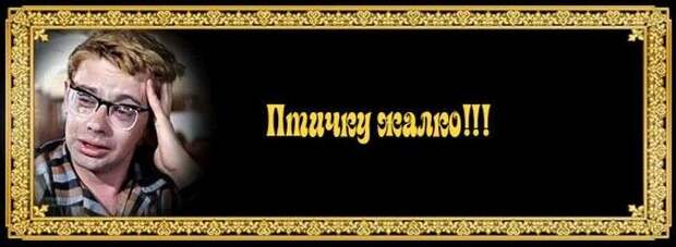 Цитаты из любимых фильмов история, прикол, юмор