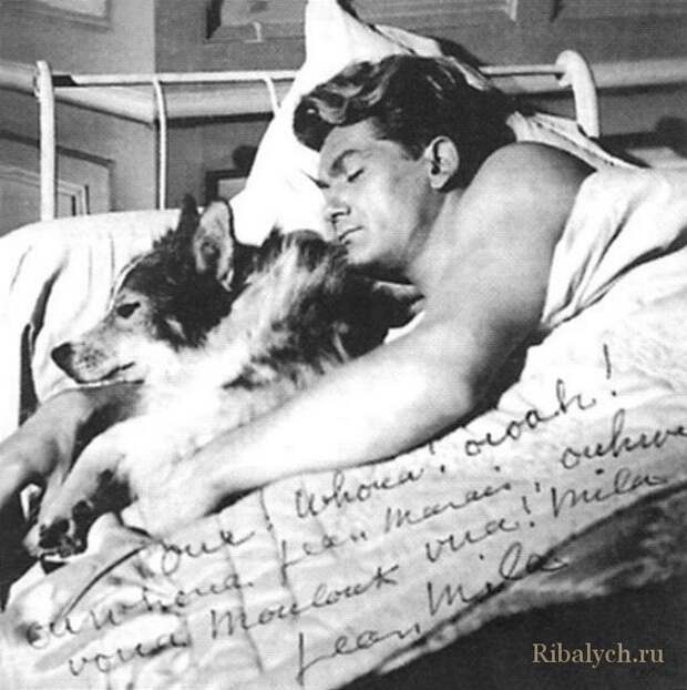 Его любили женщины, а он любил собак  Жан Маре, дружба, собака