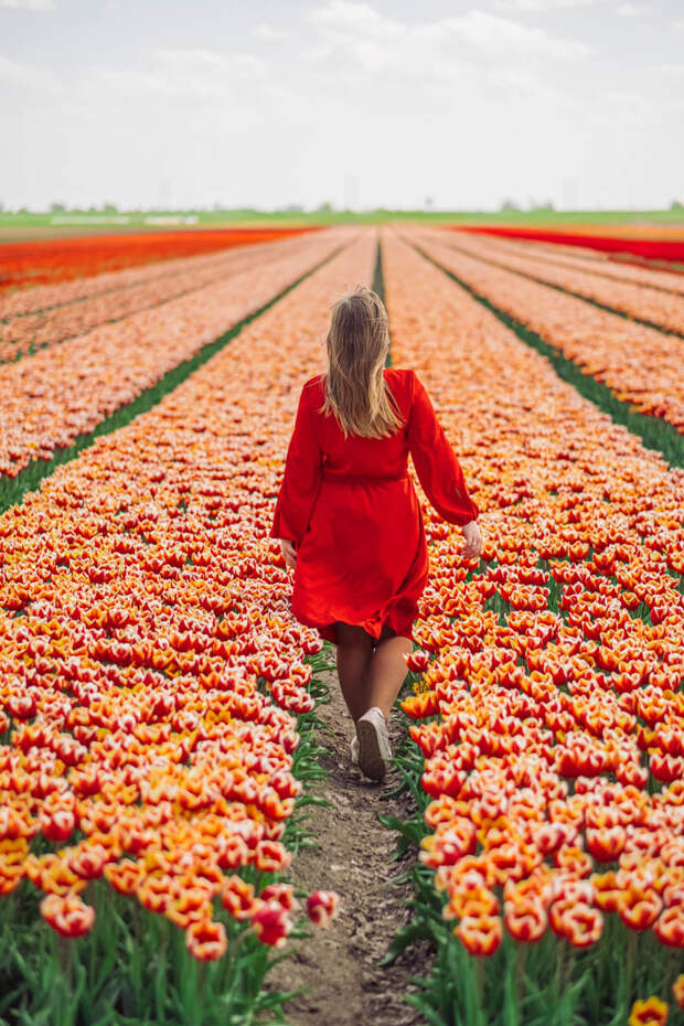 https://rudenko-photography.com/wp-content/uploads/2019/10/marinaher-family-tulip-field-16.jpg