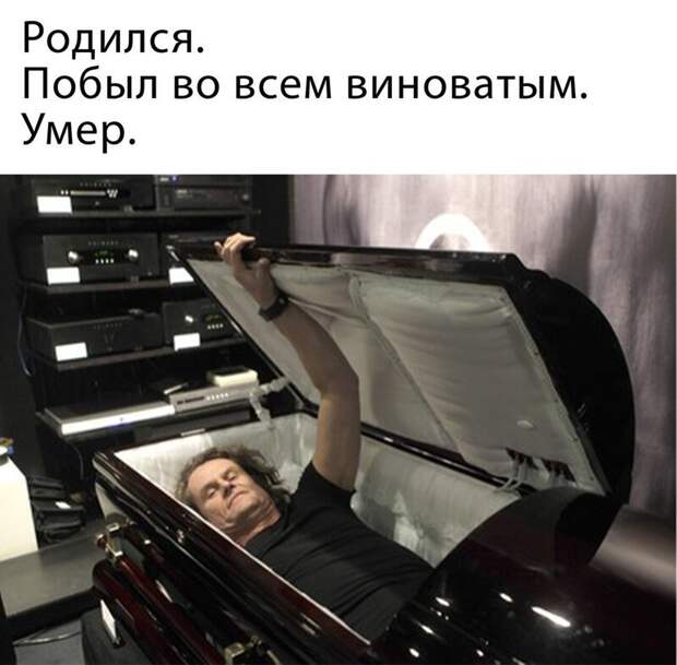 Комментарии и картинки из соцсетей