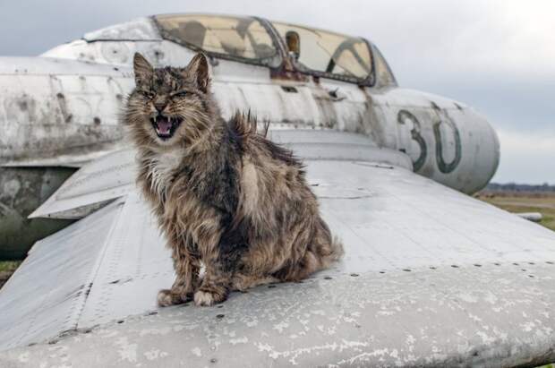 Разнообразная подборка =)