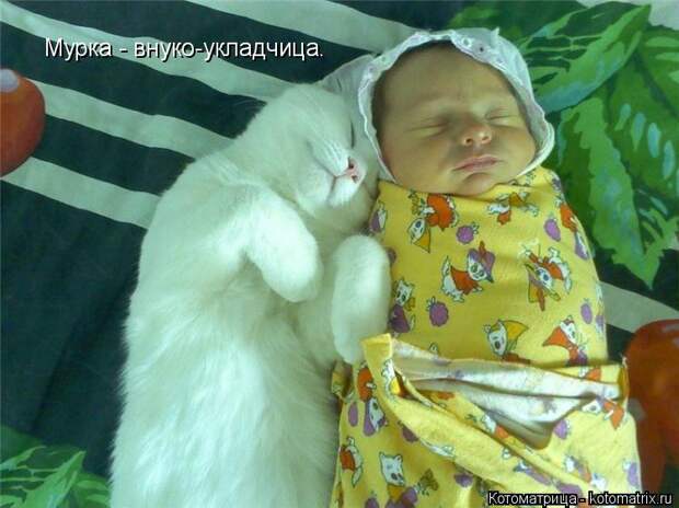 Котоматрица: Мурка - внуко-укладчица.