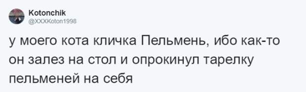 Кто во что горазд, или как правильно назвать своего питомца