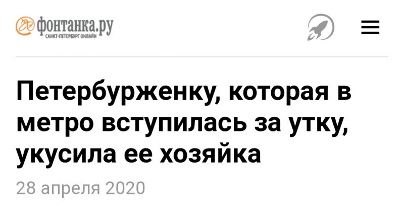 Ты к птицам с любовью, а тебе в ответ такое...