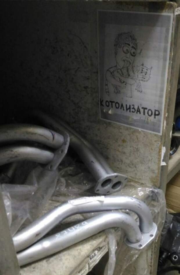 Свежие фото приколы и смешные картинки для улыбок (11 фото) Свежие фото приколы и смешные картинки для улыбок (11 фото)