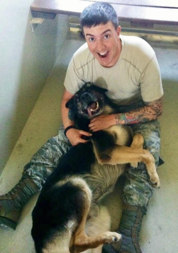 Солдат остался рядом со своим псом до самого конца дружба с животными, смерть, собака, трогательно
